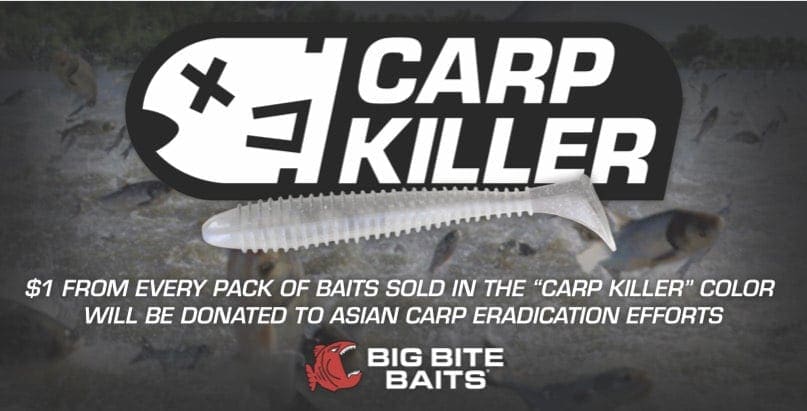 Big Bite Baits Pro Swimmer