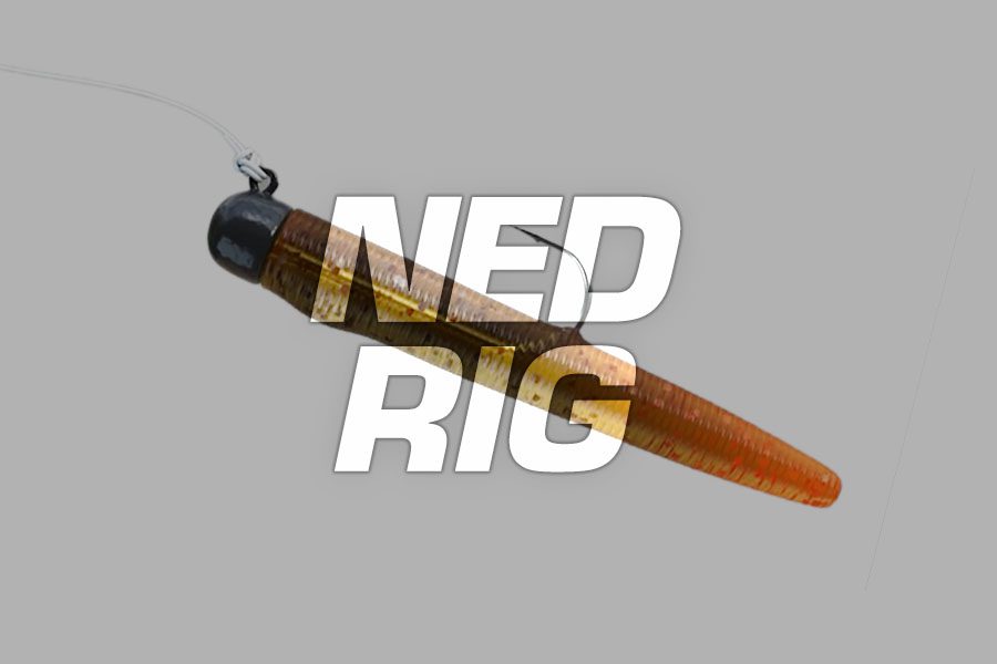 ned rig